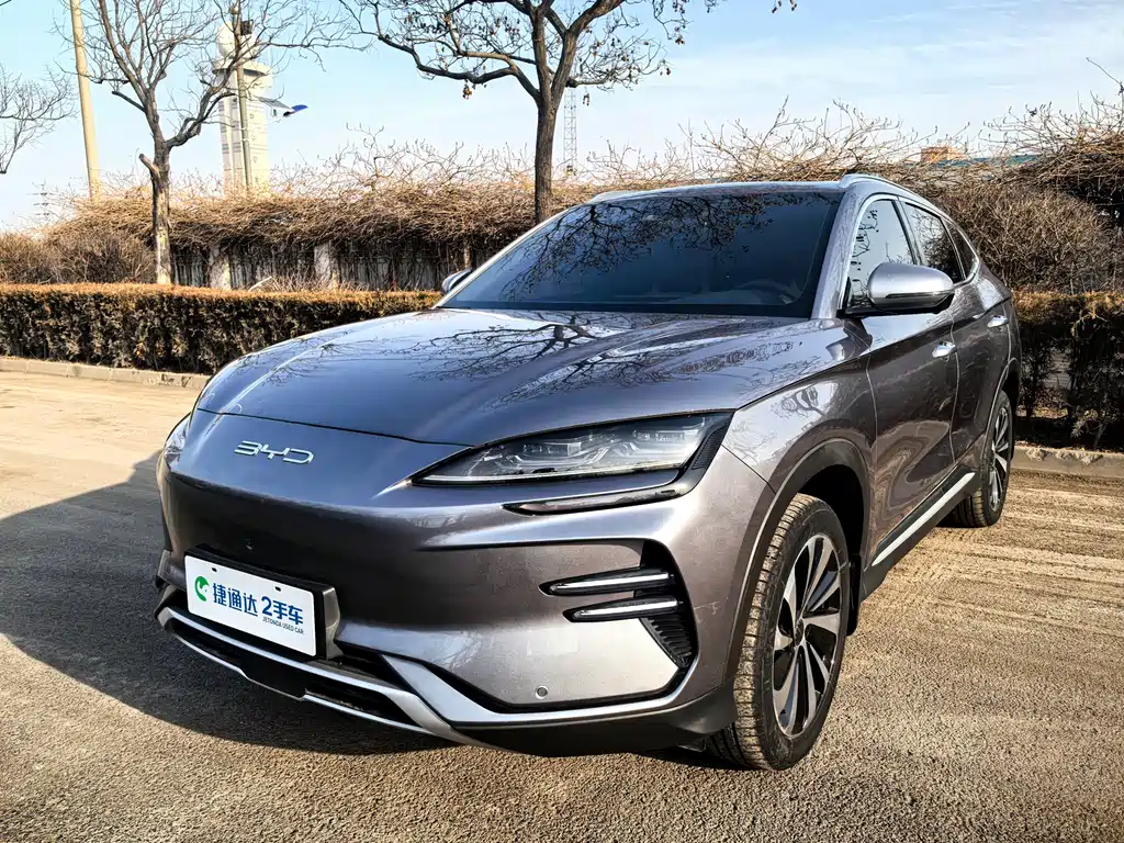 BYD SONGJIANG NEW ENERGY