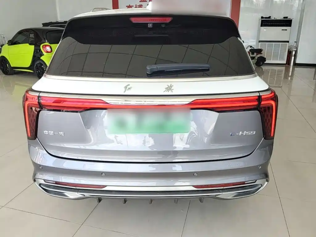 Hongqi Hongqi E-HS9 — миниатюра 6