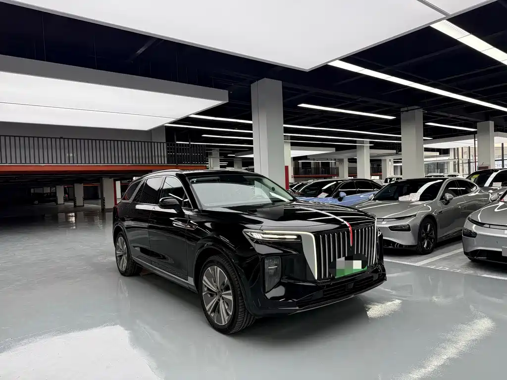 Hongqi Hongqi E-HS9 — миниатюра 3