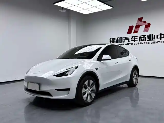TESLA MODEL Y 2021