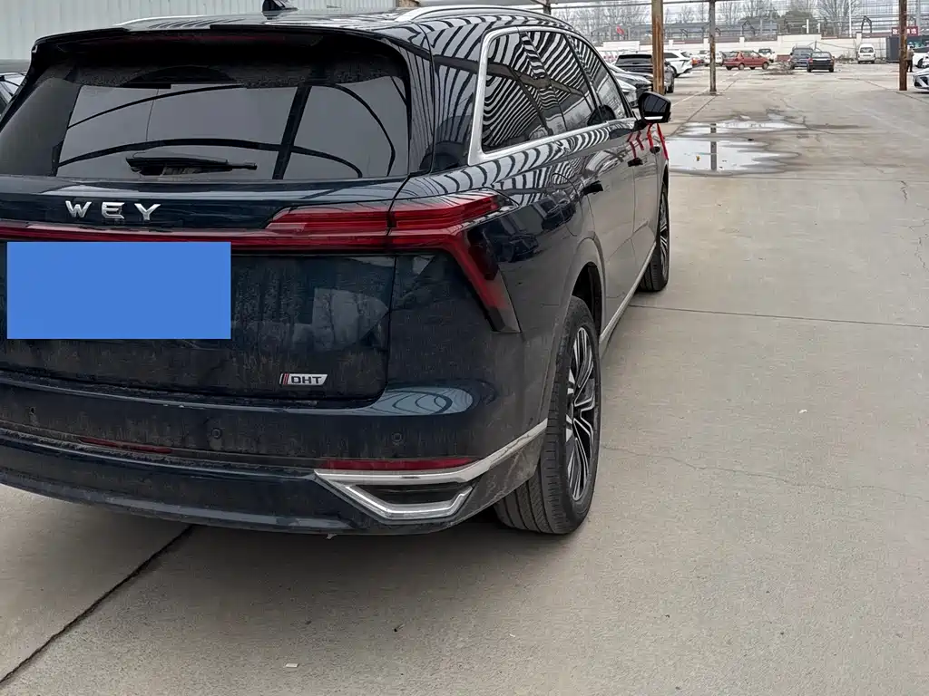 WEI PAI WEI BRAND BLUE MOUNTAIN