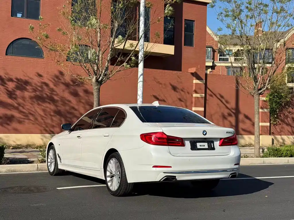 BMW 5 Series 5 2019 530Li Lead Luxury