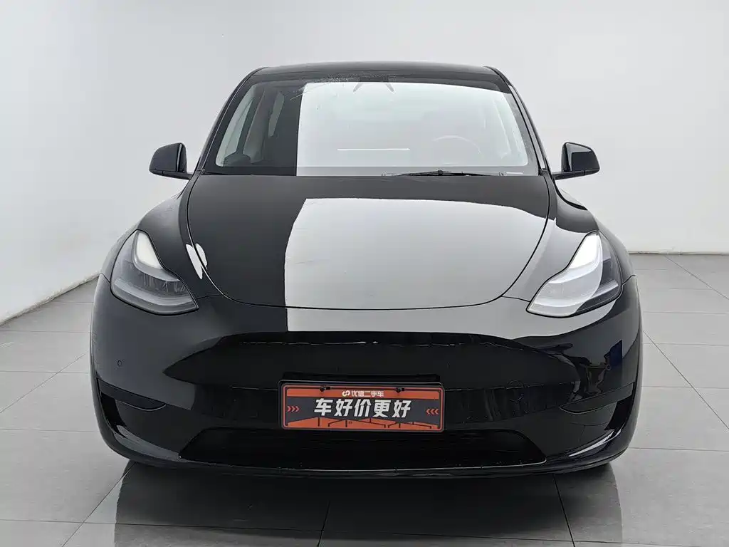 Tesla Model Y — миниатюра 3