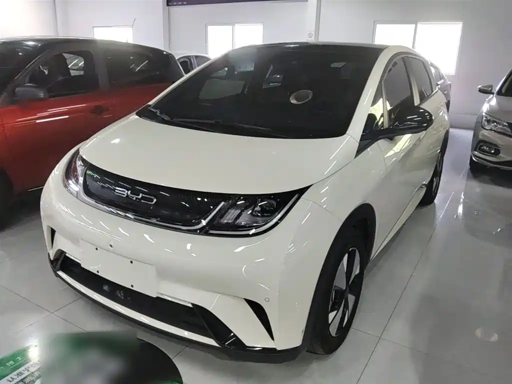 Byd Dolphin 2024