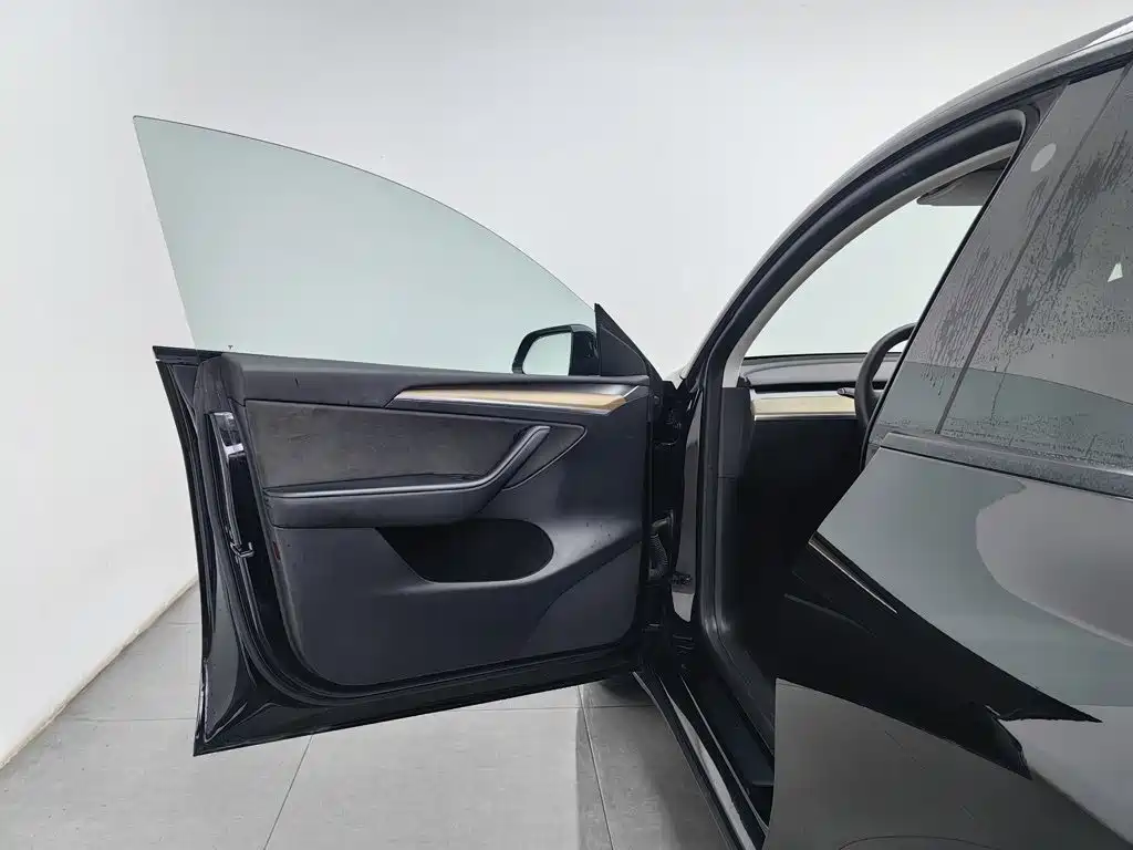 Tesla Model Y — миниатюра 8