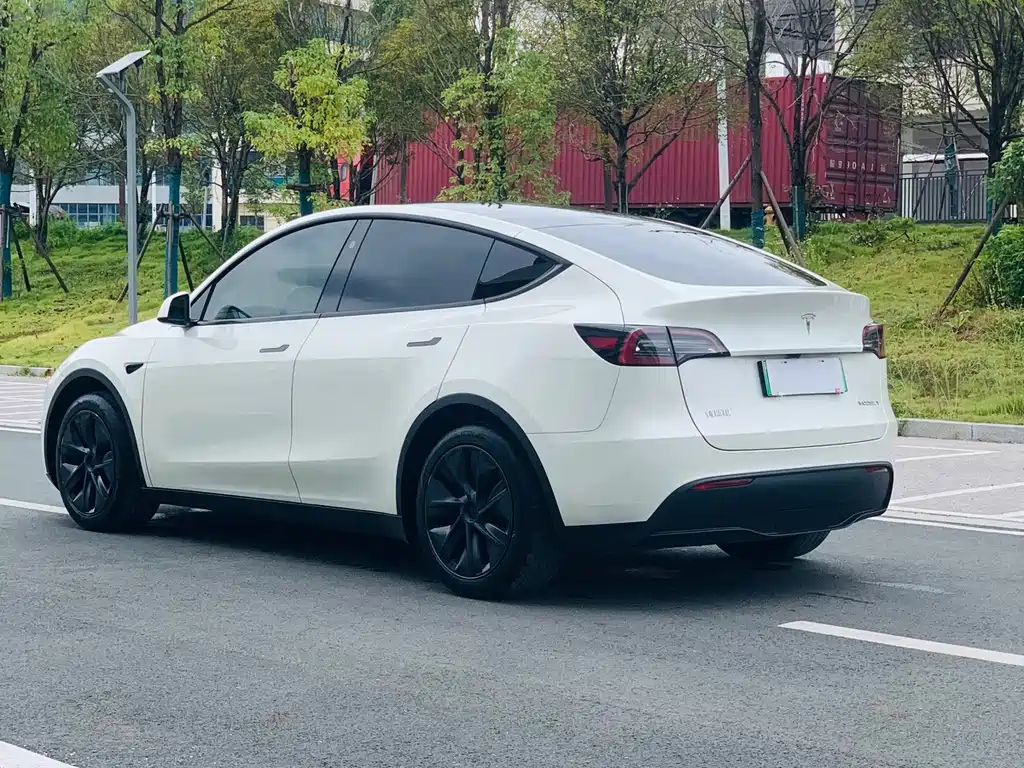 Tesla Model Y — миниатюра 5
