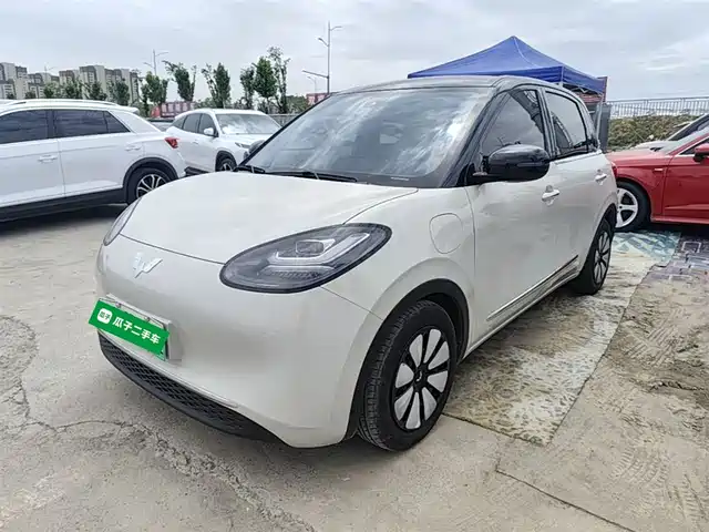 2024 Wuling Motors Binguo