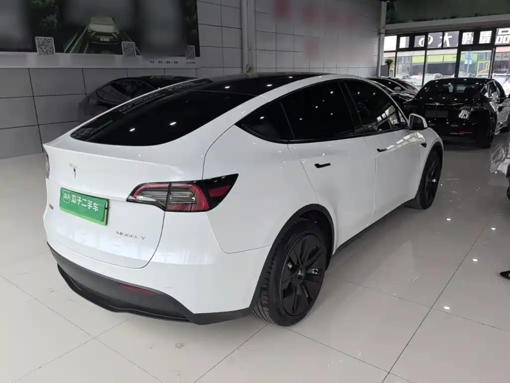 Tesla Model Y — миниатюра 7