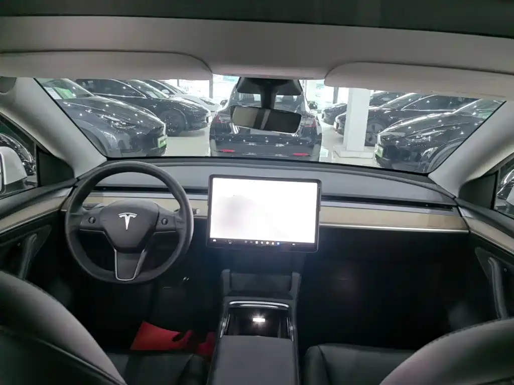 Tesla Model Y — миниатюра 10