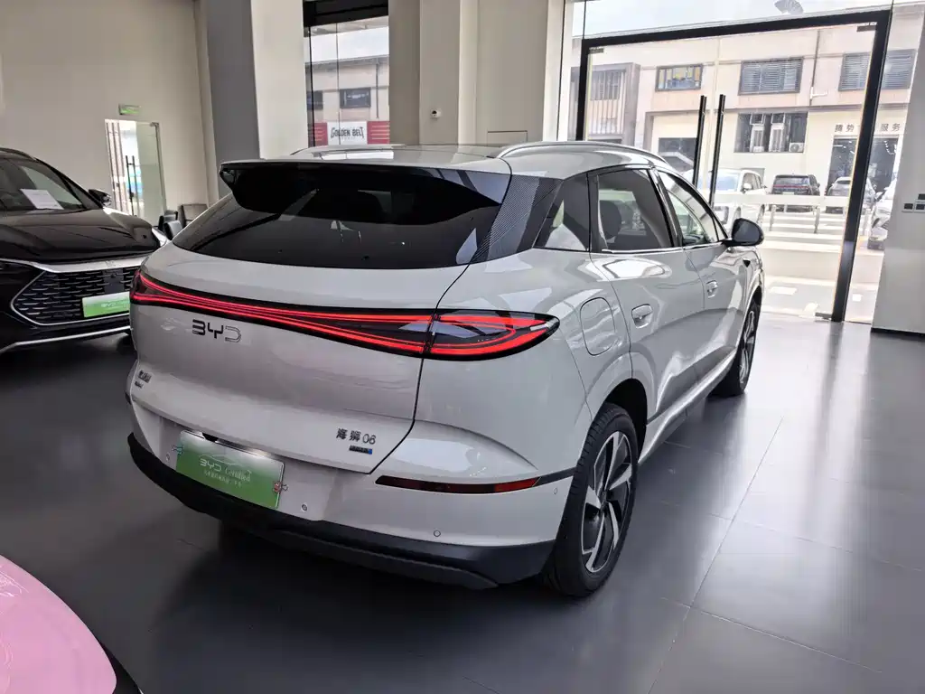 BYD Haisi 06 — миниатюра 6