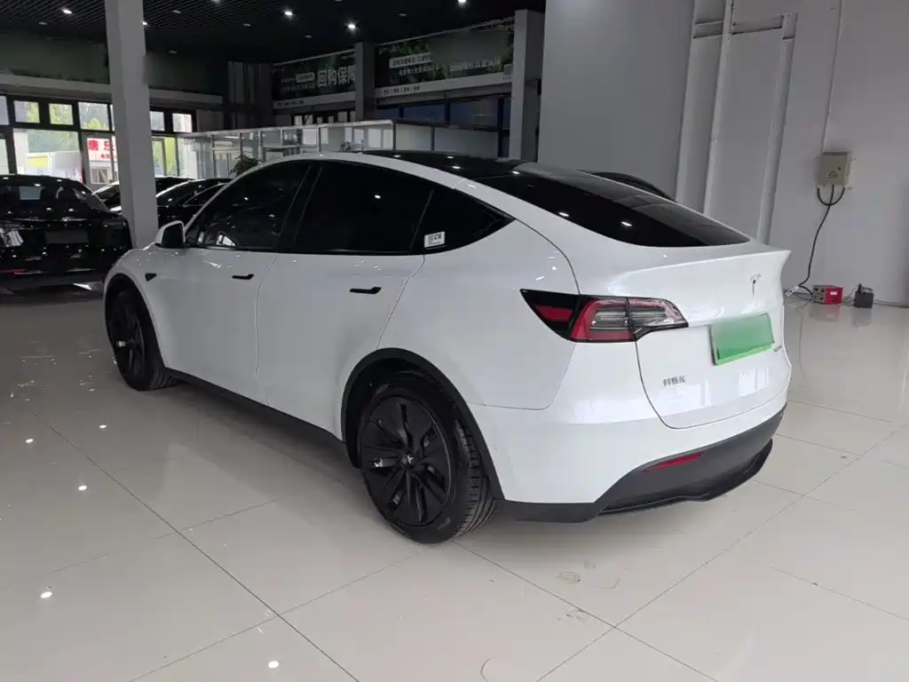 Tesla Model Y — миниатюра 5