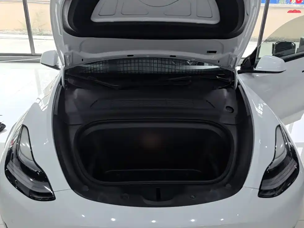 Tesla Model Y — миниатюра 20