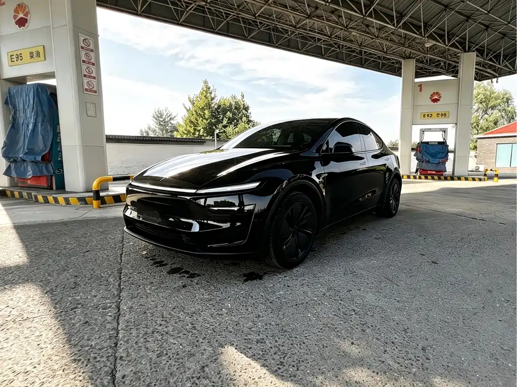 Tesla Model Y — миниатюра 2