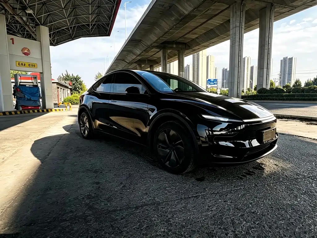Tesla Model Y — миниатюра 5