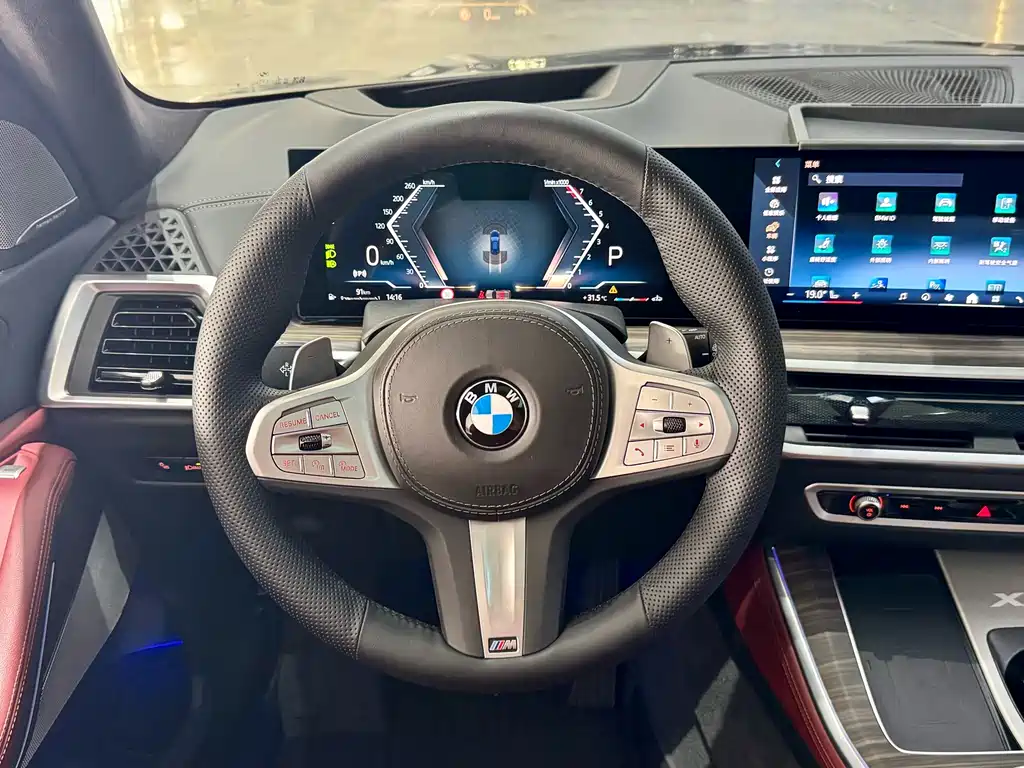 BMW X5 — миниатюра 9