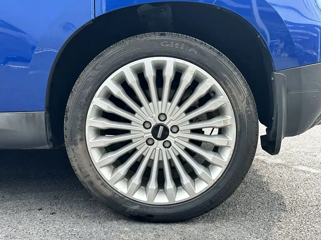 Wey Wey P8 — миниатюра 8