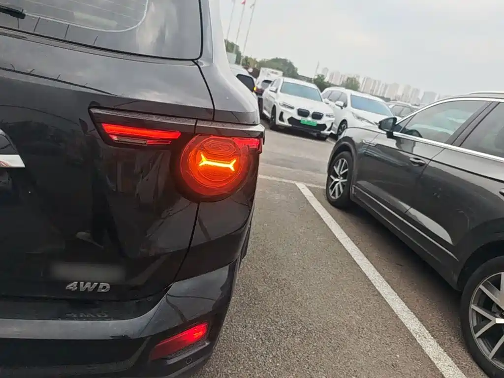 Haval Big Dog PLUS — миниатюра 8
