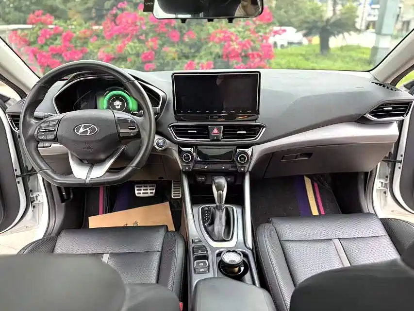 Hyundai Fista — миниатюра 4