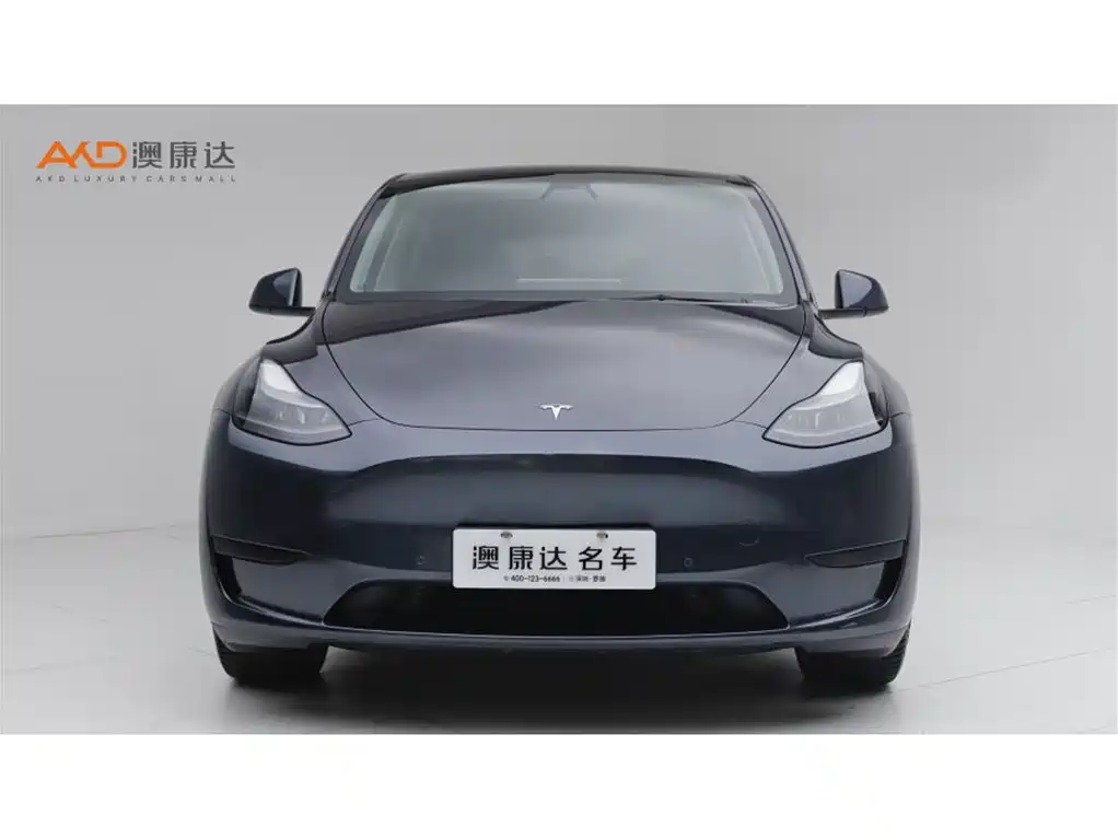 Tesla Model Y — миниатюра 2