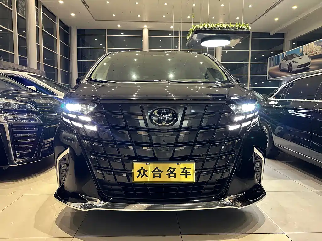 Toyota Alphard Hybrid 2.5L Premium Enjoy Edition, фото 2