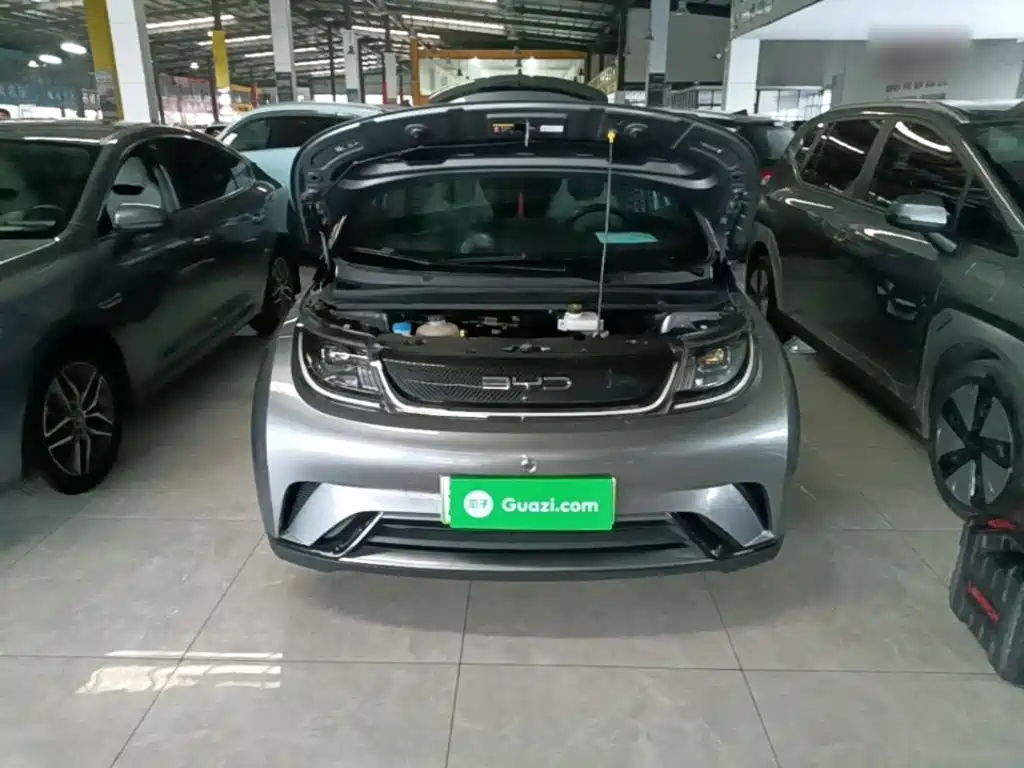 BYD Dolphin — миниатюра 20