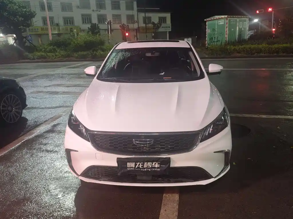 GEELY AUTOMOBILE BINRUI