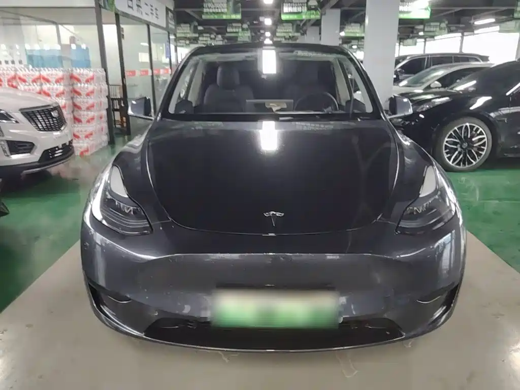Tesla Model Y — миниатюра 3