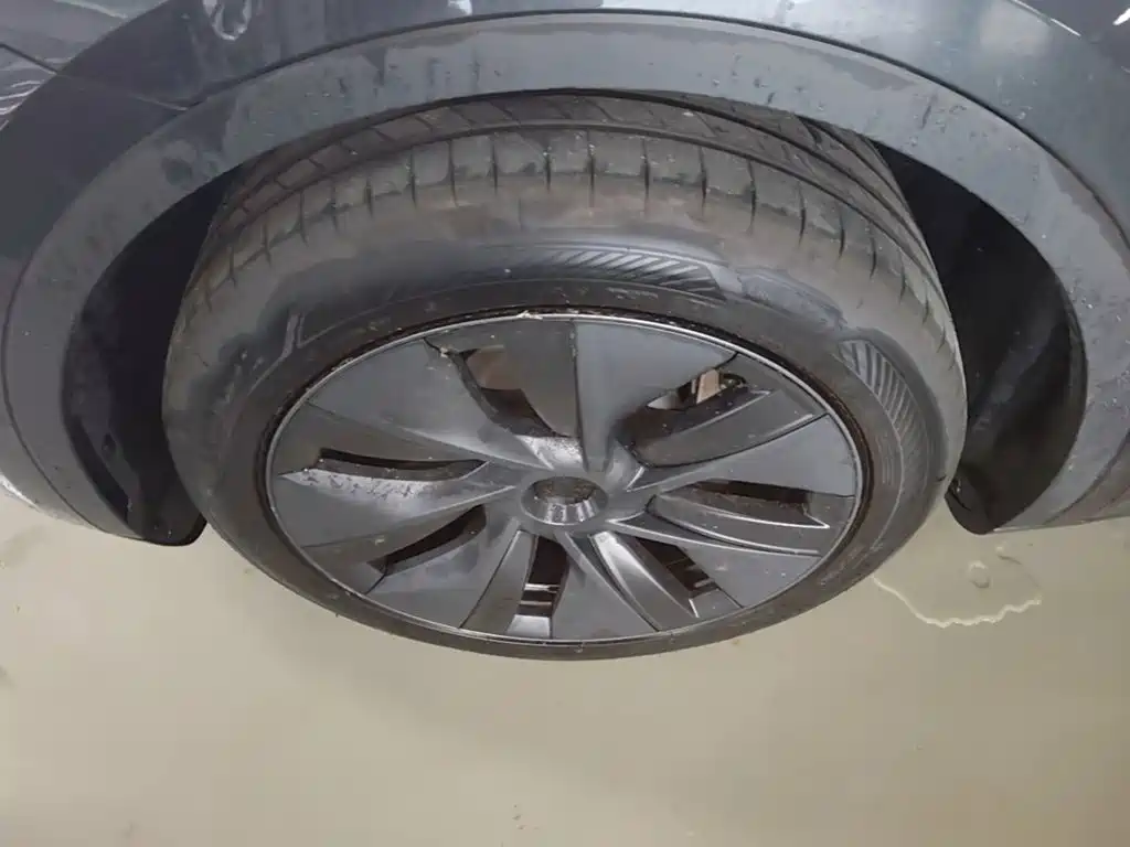 Tesla Model Y — миниатюра 23