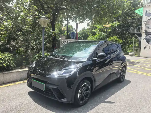 2024 BYD Seagull