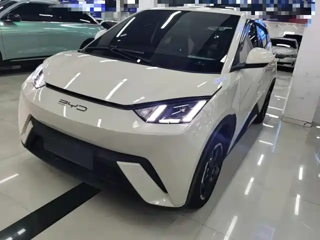 2024 BYD Seagull