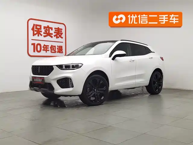 WEI PAI WEI BRAND VV5