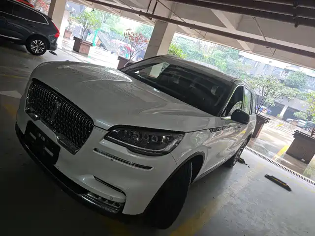 LINCOLN FLYING HOME 2020