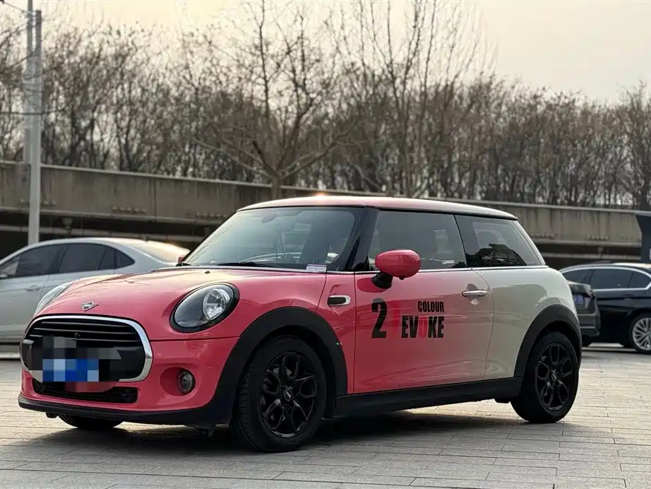 Mini Mini 2020