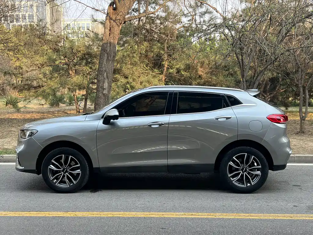 WEI PAI WEI BRAND VV5