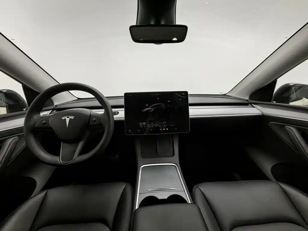 Tesla Model Y — миниатюра 5