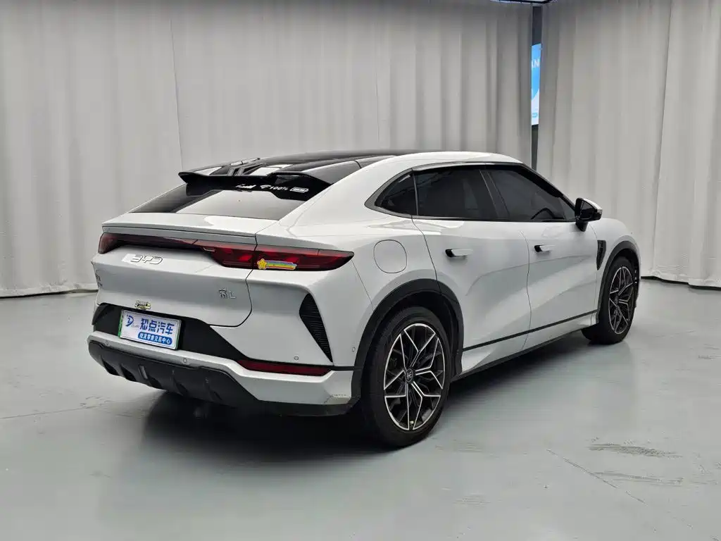 BYD L EV — миниатюра 6