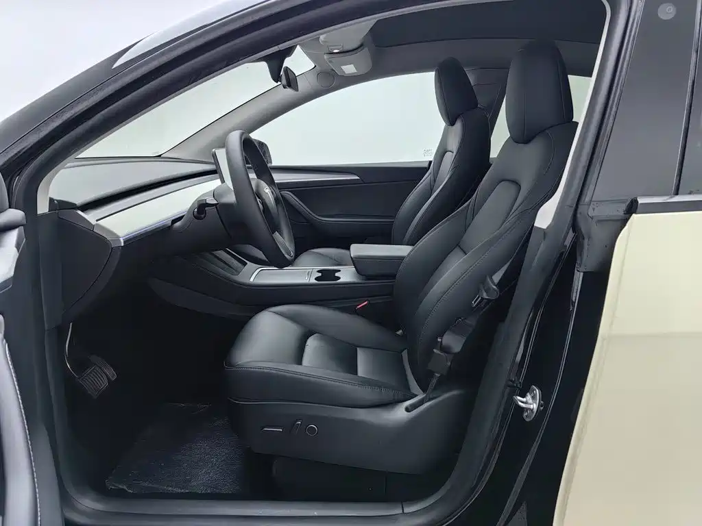 Tesla Model Y — миниатюра 10