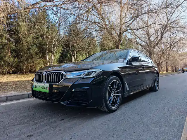 bmw 5-series-new-energy