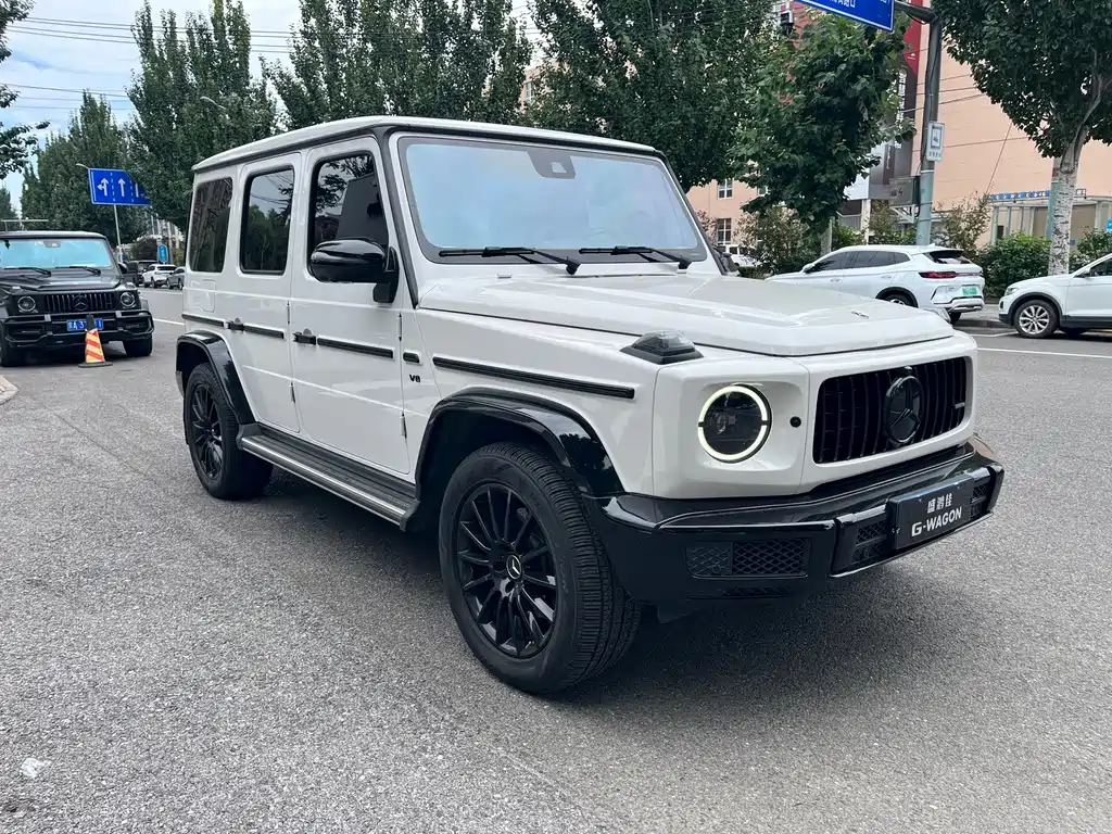 Mercedes-Benz G-Class — миниатюра 5