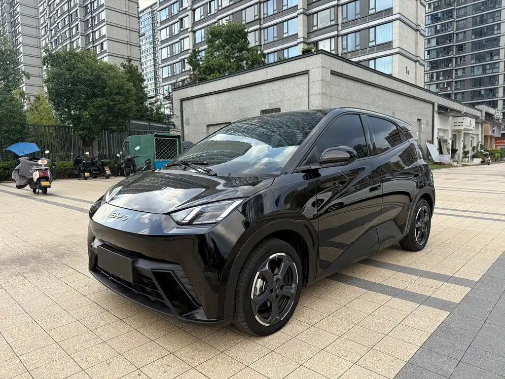 BYD Seagull