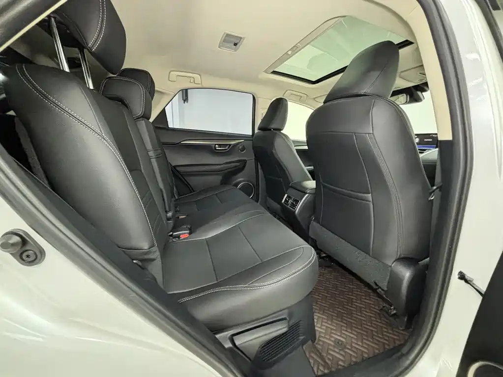 Lexus NX — миниатюра 13