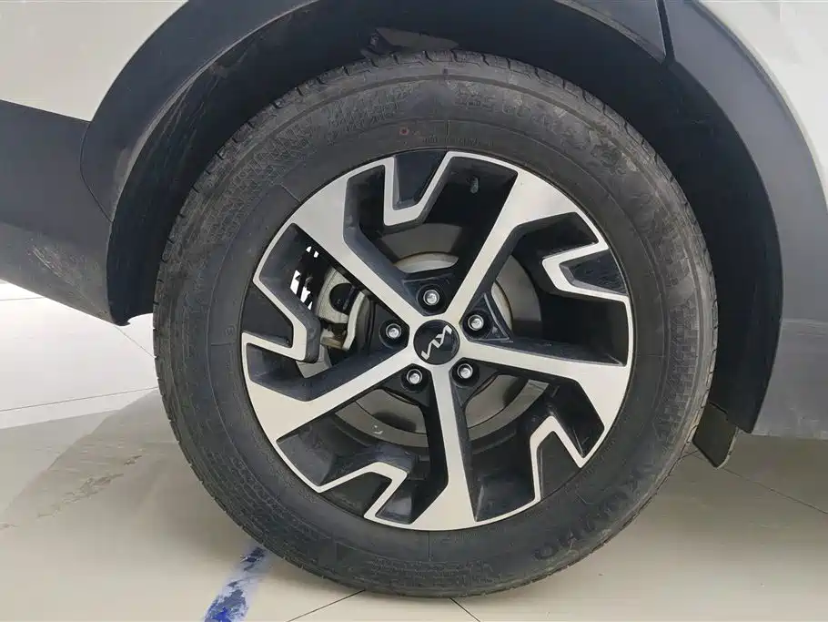 KIA LION PLATINUM EXPANDS THE WORLD