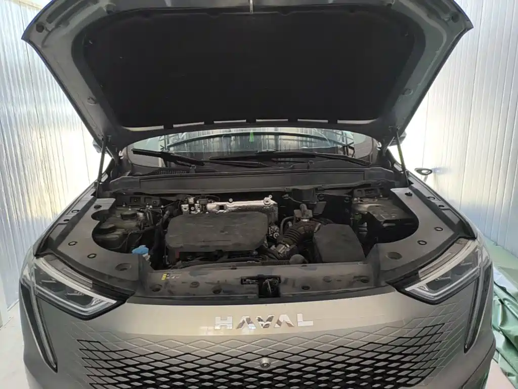 Haval Xiaolong MAX — миниатюра 20