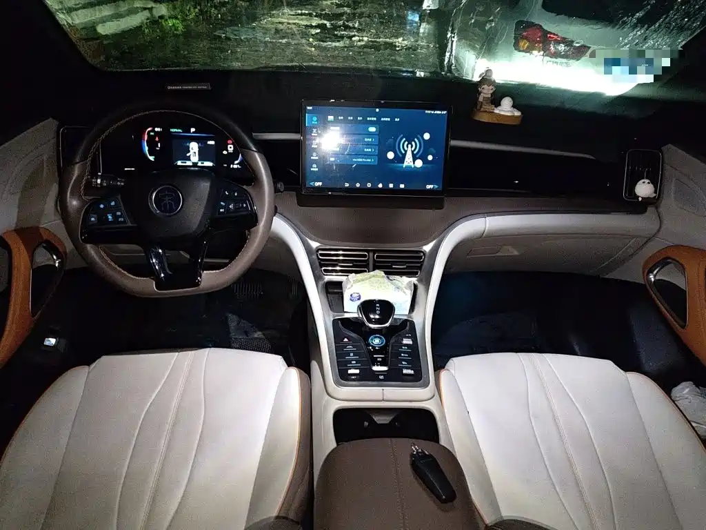 BYD Pro New Energy — миниатюра 5