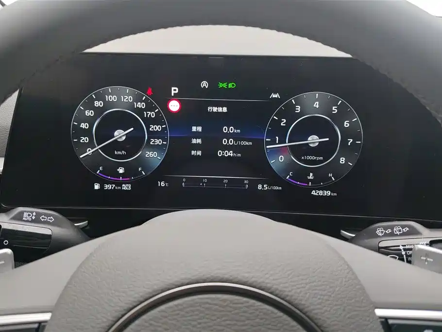 KIA LION PLATINUM EXPANDS THE WORLD