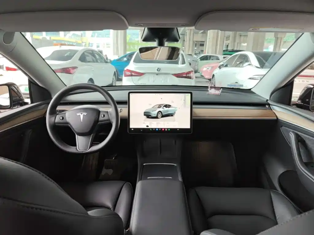 Tesla Model Y — миниатюра 10