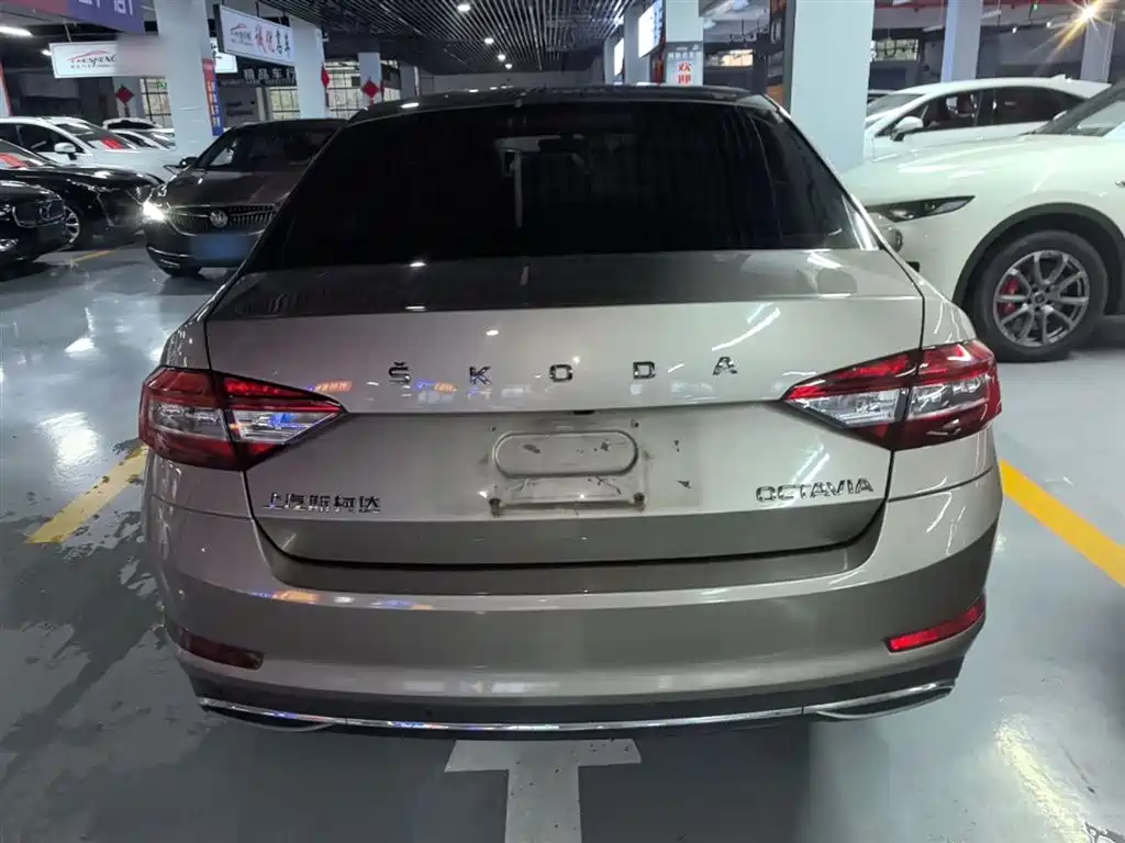 Skoda Octavia 2019 1.5L AT Luxury VI