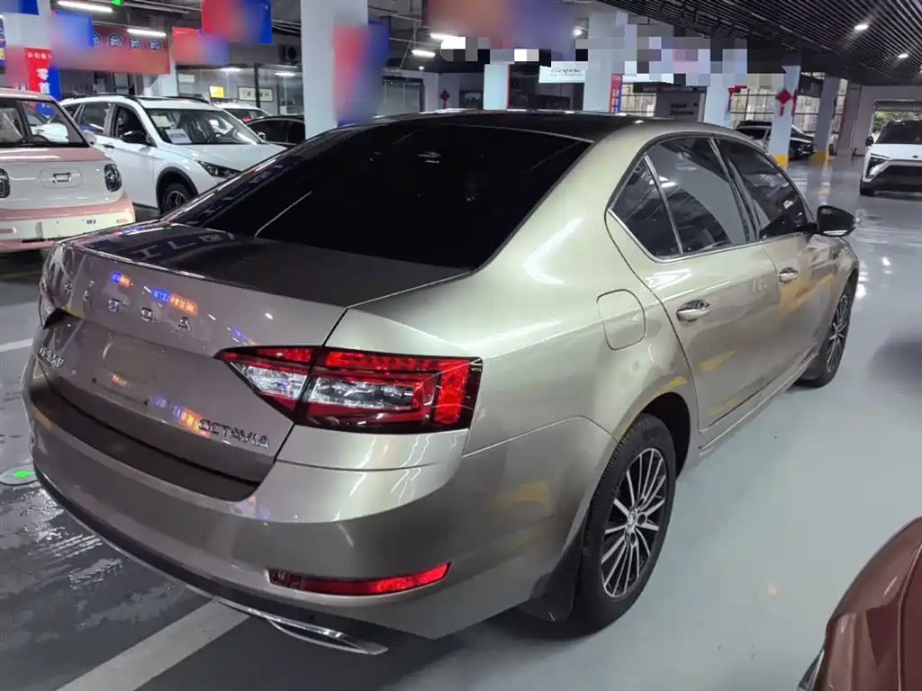 Skoda Octavia 2019 1.5L AT Luxury VI