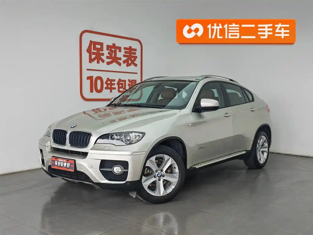 BMW X6 2010