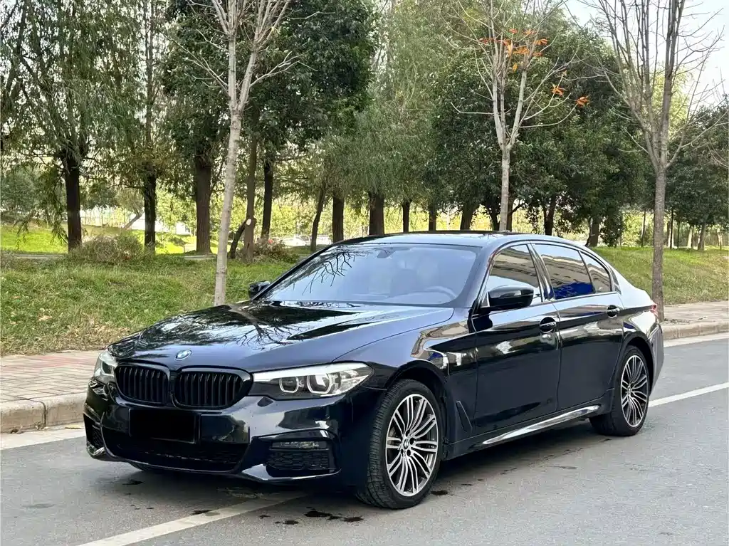 BMW 5 Series 5 2019 530Li Lead M Sport